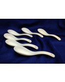 6 Piece Spoon Set