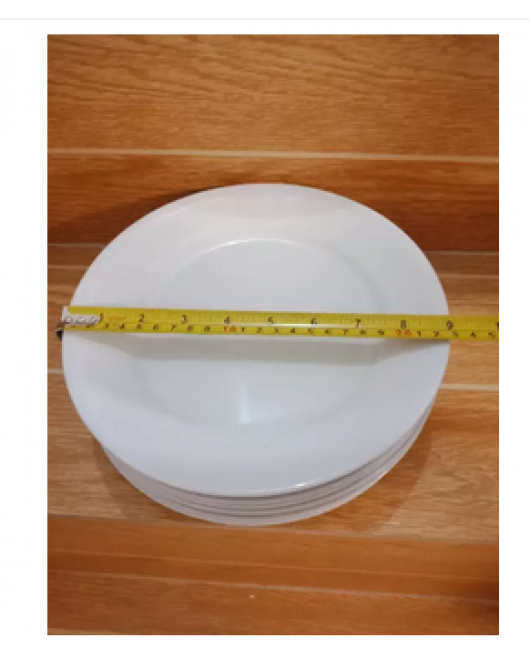 9 Inches Dinner Plate