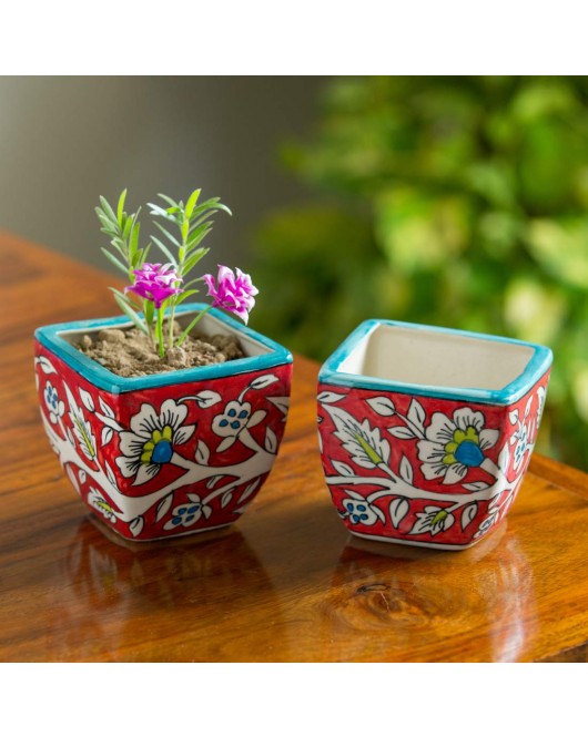 Ceramic Planters Pot Set