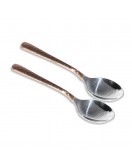 Design Steel Tea Spoon